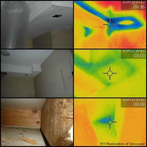 Water damage Centerville Infrared Camera 