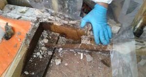 Damaged Pipes That Caused A Sewage Overflow